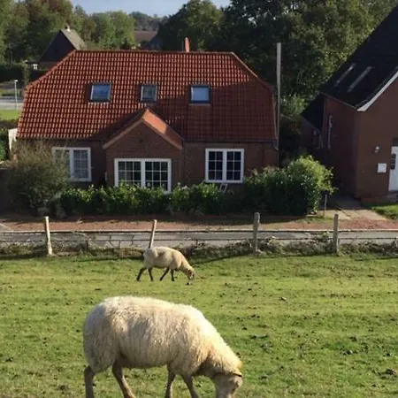 Apartman Ferienwohnung Elbstrand Kollmar